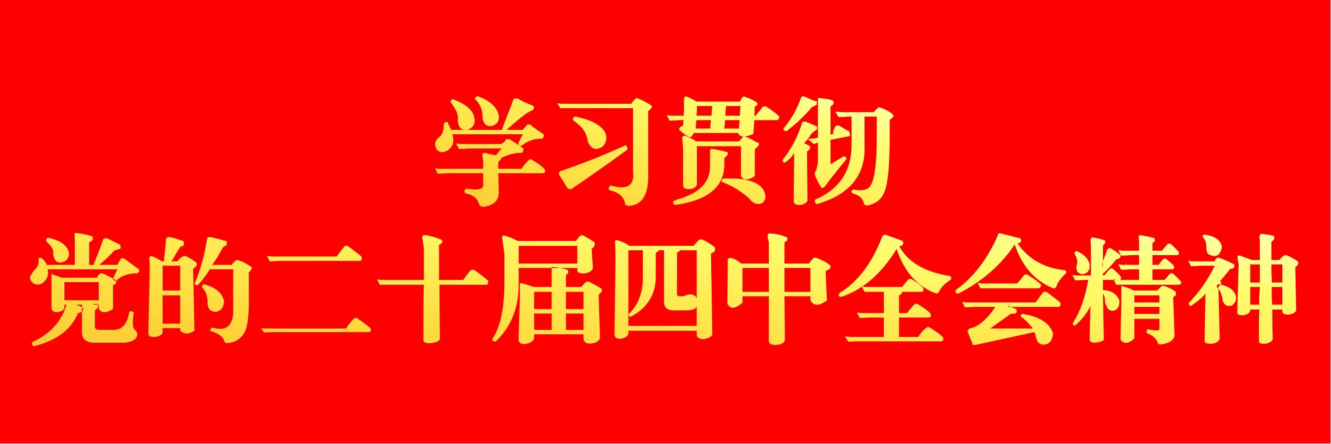 学习贯彻党的二十届四中全会精神
